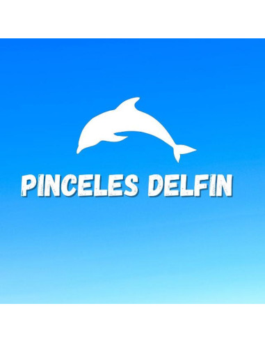 Delfin 264 Pincel China N25